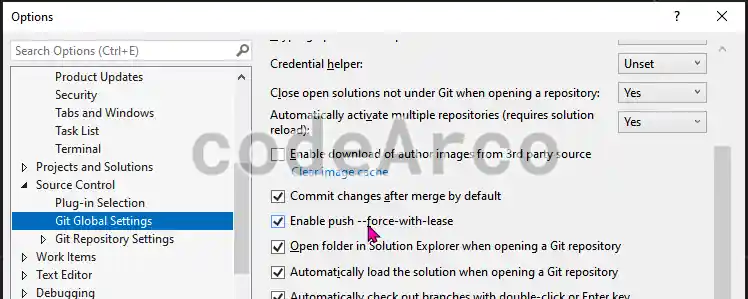 Enable Git force push in Visual Studio