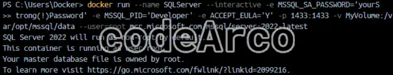 Example of run command in Docker with SQL Server