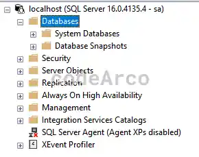 Check correct database created with docker-compose yml