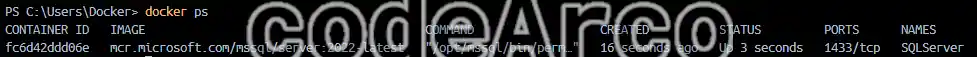 Docker command to view ports