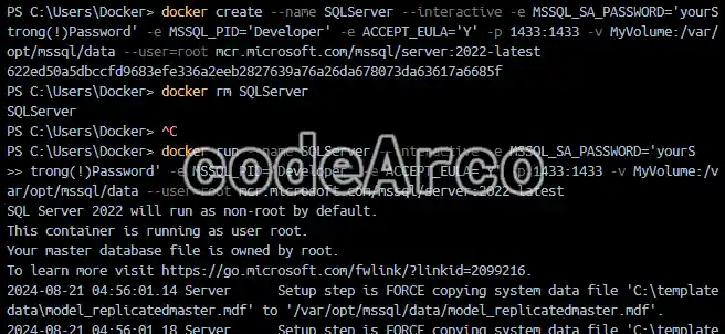 Docker run command example in practice