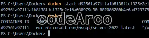 Docker start and list containers with commands