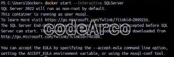 Docker start container interactive mode