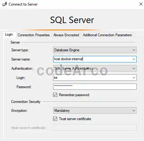 Error connecting SQL Server in Docker container and localhost