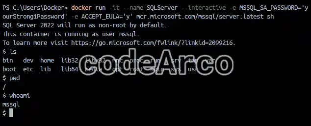 How to access the terminal of a Docker container