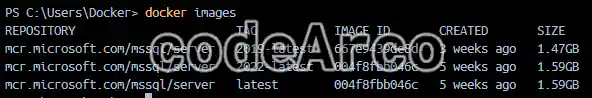 Several Docker images with different tags