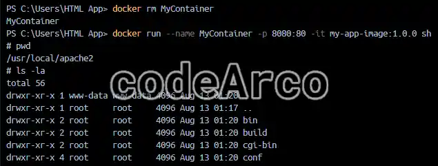Docker interactive mode and terminal in container