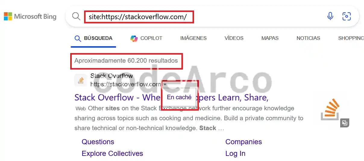 Que tenemos indexado en Bing y su cache