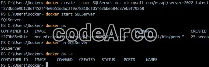 Como nombrar un contenedor en Docker con comandos