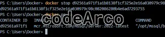 Docker como listar contenedores parados u ocultos