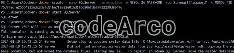 Docker create con variables de configuracion
