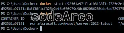 Docker iniciar y listar contenedores con comandos