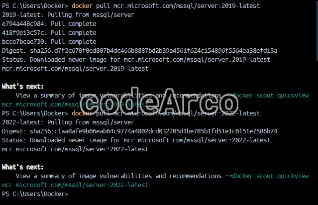 Docker pull con version o etiqueta