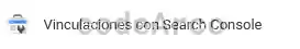 Vinculaciones con Google Search Console