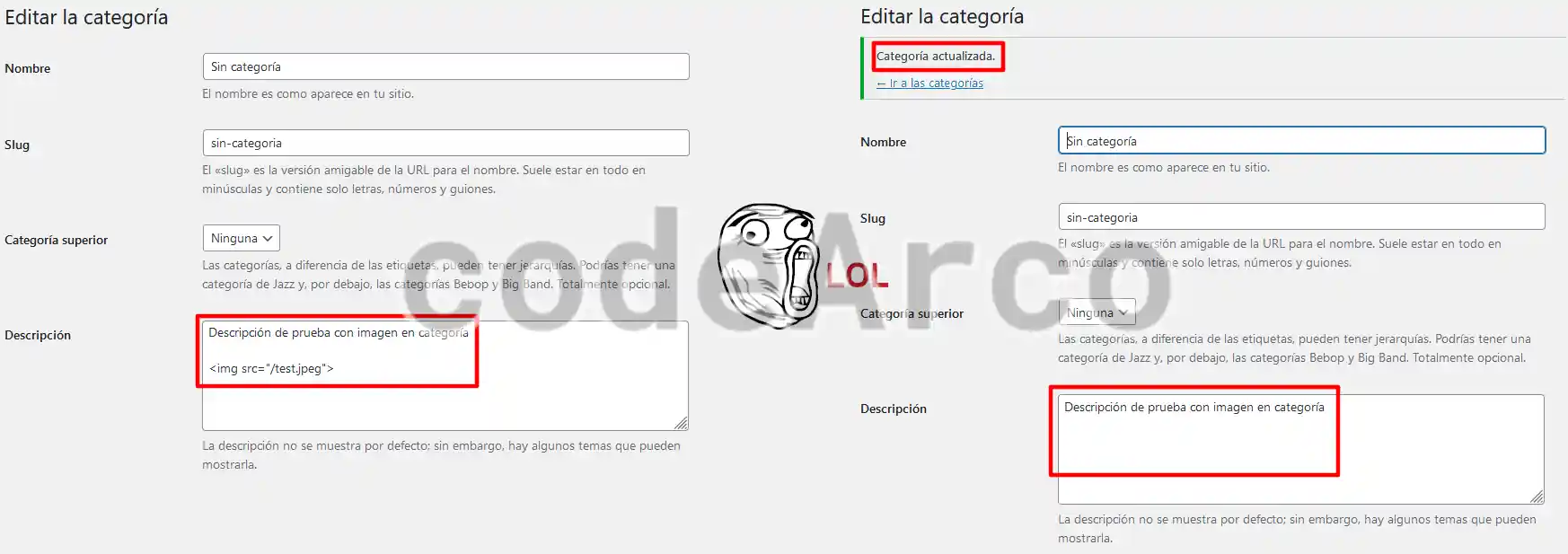 Imagenes y HTML en categorias y taxonomias de WordPress desaparecen
